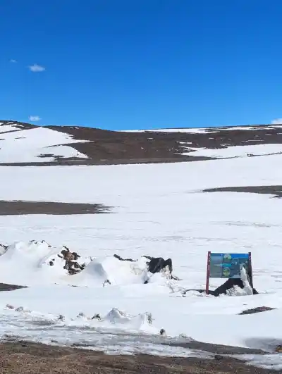 Alerta amarilla por viento en Catamarca: los accesos al Balcón del Pissis siguen cerrados