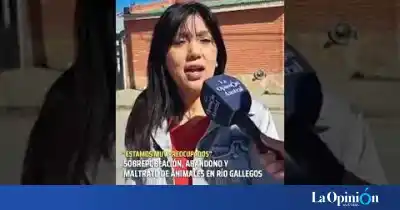 “Todo está a la vista”: la proteccionista que alerta por los animales callejeros en Río Gallegos