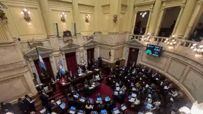 El Senado se apura a tratar el tratado de patentes que le pide la Embajada de EE.UU.