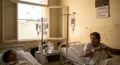 Un hospital del Chaco Salteño se llenó de zancudos y los pacientes ya no aguantan
