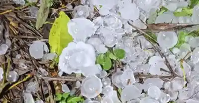 El granizo sorprendió a Salvador Mazza: la franja que quedó en alerta y las recomendaciones