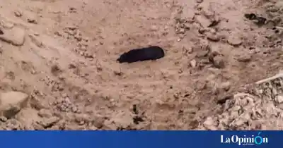 Cayó en una fosa de la Cantera Municipal y no podía salir: el rescate que movilizó a los bomberos