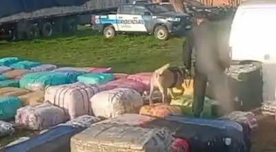 La Federal paró un colectivo en la ruta 50 y lo que no encontraron desató el caos en Orán