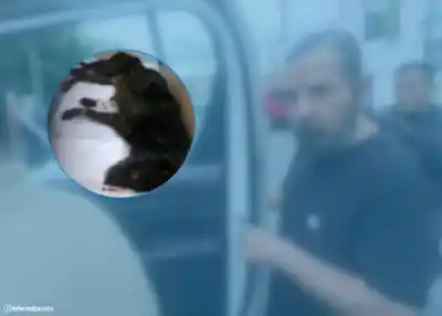 Encontraron a "Negra" agonizando dentro de una bolsa y el veterinario no ocultó su reacción