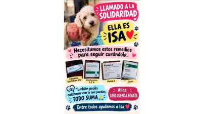 Un perro la atacó, perdió gran parte de su piel y ahora su familia pide una ayuda urgente