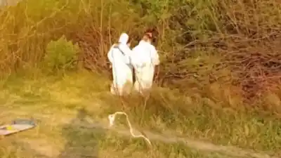 El cuerpo quemado en una fosa de Villa Gobernador Gálvez tenía nombre: qué descubrió la autopsia
