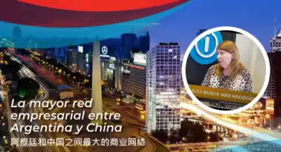 Por qué el que viaja a China "vuelve al futuro": la estrategia que Salta no puede dejar pasar
