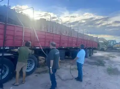 Interceptan un cargamento de frutas sin papeles: lo que encontraron en los controles sorprendió a los inspectores