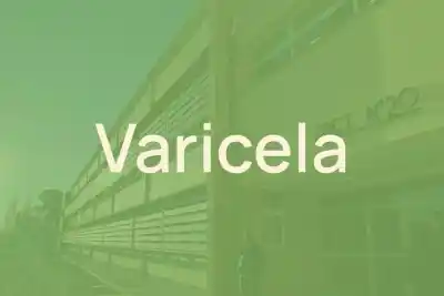 Varicela en dos escuelas de Neuquén: los casos que encendieron las alarmas en la EPET 17 y la EPET 20