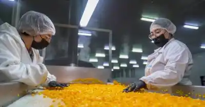 «Es el peor año de la vida industrial»: el crudo diagnóstico del sector en San Juan y el problema que se viene con la minería