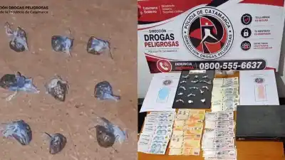 Allanamientos en Catamarca: la Justicia Federal encontró cocaína, marihuana y una cifra inesperada en efectivo