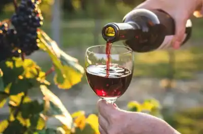 Paraná se queda con las Jornadas Nacionales del Vino y ya confirmó la fecha que nadie esperaba