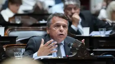 Giuliano denunció que los extranjeros compran ciudadanía para quedarse con las tierras argentinas