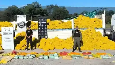 Descubren nueva modalidad para transportar droga en cargamentos de frutas y hortalizas