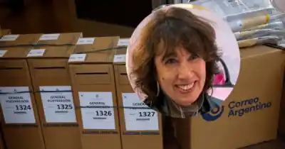 Reyes lanzó su candidatura a gobernadora y apuntó contra Vidal: "No voy a ser ni Patricia Bullrich ni Claudio Vidal"