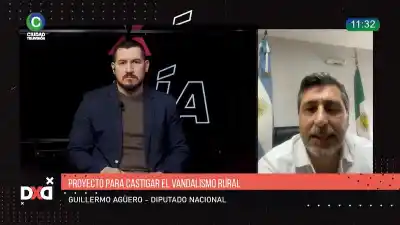 El diputado Agüero no pudo con la burocracia durante años: el proyecto que destrabaría 6 hectáreas y 117 silos en Barranqueras