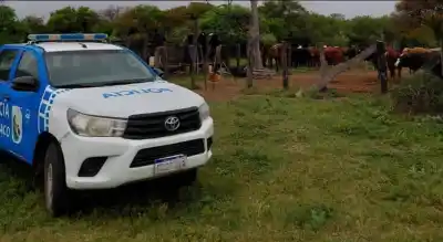Un ternero de 150 kilos desapareció de un campo de Santa Sylvina y dos hombres terminaron detenidos