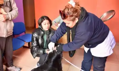 Trelew recorre más de 25 barrios con el quirófano móvil: las fechas clave de la campaña