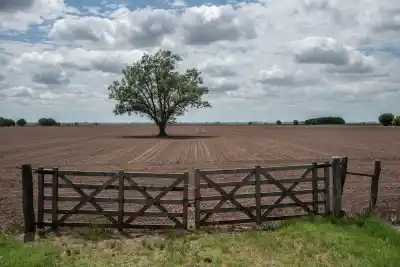 El fallo de la Corte que vuelve a trabar la venta de campos a extranjeros: los límites que rigen desde ahora