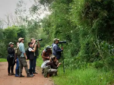 Misiones abre sus parques gratis este sábado: el día para ver aves que ya le dio un récord