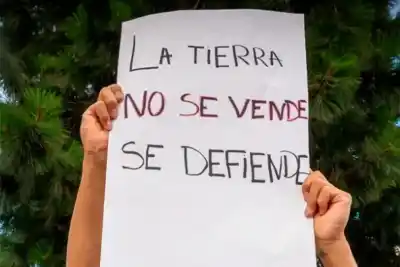 El intendente que preside el norte de Misiones reveló qué porcentaje de su pueblo está en manos extranjeras