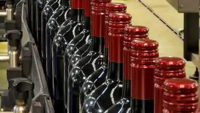El vino sanjuanino batió un récord exportador, pero un producto clave se desplomó