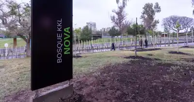 Mendoza plantó 417 árboles por las víctimas del Festival Nova: el primero fuera de Israel