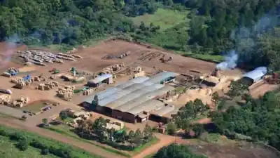 130 familias esperan cobrar y una escribana revisará qué quedó adentro del aserradero