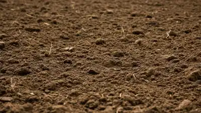 El 75% de los suelos agrícolas de Santa Fe está degradado: la herramienta que ya usan los productores