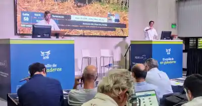 Rosgan juega un "súper martes" en dos canchas: la movida que puede cambiar el negocio ganadero