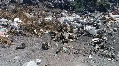 Pusieron cámaras y multas en la Ruta 46, pero los dejó sin efecto lo que pasa cada noche