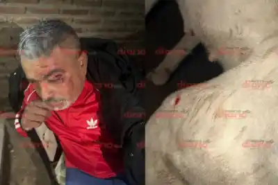 Añatuya: quisieron callar los ladridos a cuchillazos y un vecino terminó hospitalizado
