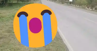 Gritos en la ruta: el pedido desesperado que moviliza a Salta tras el caso Negrita
