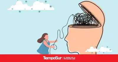 Santa Cruz debate un proyecto clave para las urgencias de salud mental: qué propone