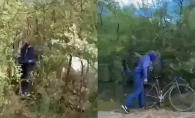 Sáenz Peña: una proteccionista lo siguió hasta los pastizales y lo que vio la dejó helada