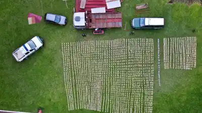 La ruta de la marihuana desde San Vicente: un doble fondo en el camión y un final que nadie esperaba