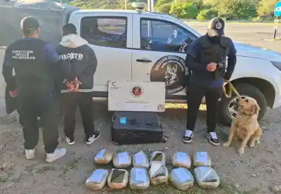 La perra ‘Lia’ olfateó algo extraño en la bodega de un micro: lo que encontraron dejó en shock a los agentes