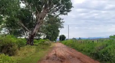 Discutieron en una finca de Apolinario Saravia y uno no volvió a casa: hay un detenido