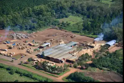 300 empleados, 27 años y una frase que quedó grabada: el gigante misionero de los pallets bajó la persiana