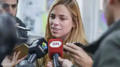 Soria apuntó contra la Justicia rionegrina y comparó un fallo con un "tono mafioso"