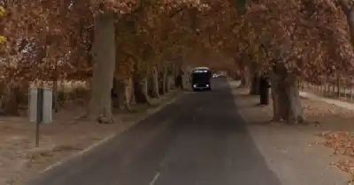 Manejaba una Fiat Strada en Luján y un árbol le cambió el destino
