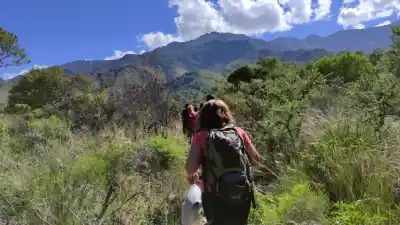Merlo se despide del calor: cuatro días seguidos con máximas que no pasan de 18 grados