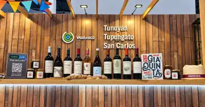Tupungato sumó una app para turistas y una cadena internacional ya tiene planes para el departamento