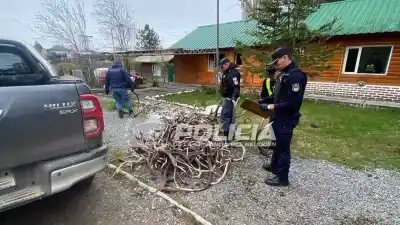 El control en la Ruta 40 que terminó con 155 astas de ciervo y dos hombres demorados