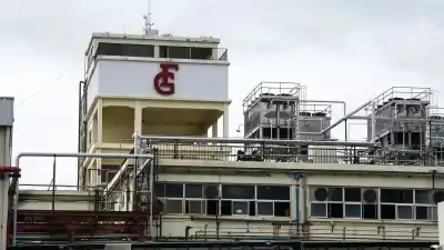 Entraron de madrugada al frigorífico de La Plata y estuvieron dos horas adentro: qué se llevaron