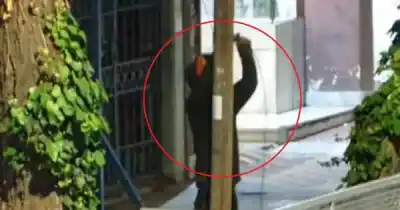 Lo vieron cortando cables en plena madrugada: la bolsa que tenía al lado lo delató