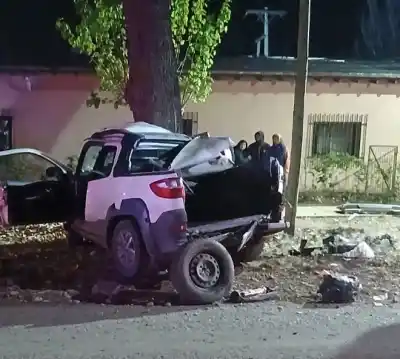 Manejaba solo de madrugada por la Ruta 15: el árbol que le cambió el destino