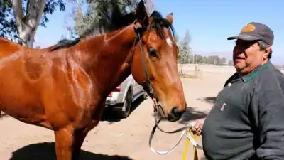 El turf sanjuanino de luto: murió Rubén Mercado, el peón que vivía al lado del hipódromo