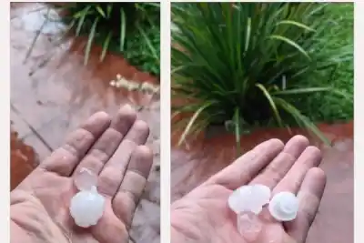 El feriado en Corrientes se despidió con un invitado que cayó del cielo