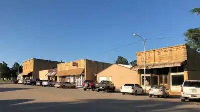 Un pueblo de 1300 habitantes ofrece terrenos gratis: ¿Qué esconden detrás de esta propuesta?